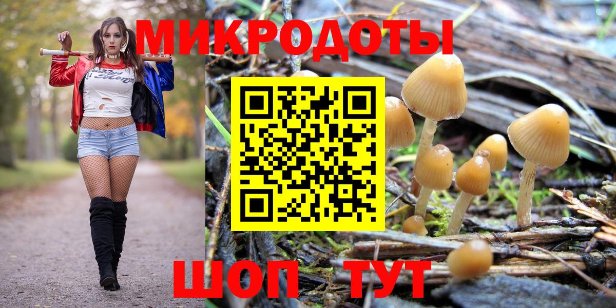 Псилоцибиновые грибы Psilocybine cubensis  Галлюциногенные грибы мухоморы  Вход с VPN  что такое   Саров 