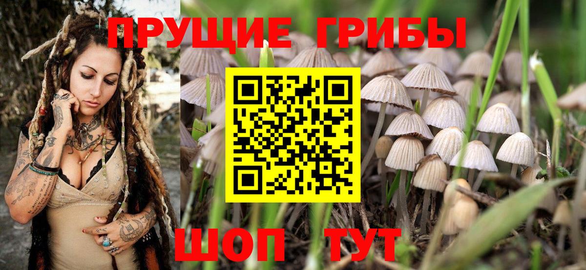 Псилоцибиновые грибы мухоморы Саров